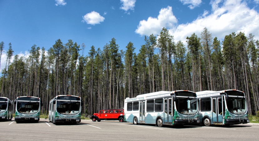 A Red Bus passes a group of modern buses used by Glacier National Park to move hikers and vistors throughout the park, as well as reduce traffic on the Going-to-the-Sun Road. During the off-season, the buses are used by Eagle Transit in the Flathead Valley. Justin Franz | Flathead Beacon.
