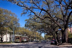 St. Charles Streetcar Line, New Orleans
